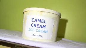 CAMEL CREAM ICE CREAM — tub 1.5qt