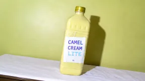 CAMEL CREAM LITE — bottle 1L lite